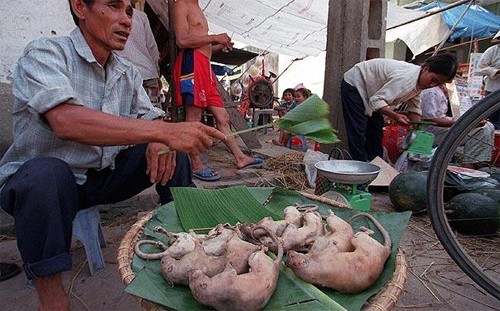 Telegraph miêu tả món thịt chuột đồng của Việt Nam: "Chuột là loài động vật gây hại cho mùa màng nên những người nông dân thường bắt chúng về, nướng chín, bọc trong lá chuối và mang ra chợ bán cho mọi người làm thức ăn dành cho bữa tối". Bên cạnh Việt Nam, những phiên chợ quê ở Thái Lan cũng bán chuột đồng và dơi nướng với giá rất rẻ.